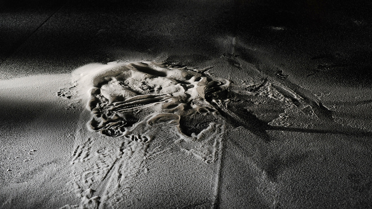 室伏鴻集成 Faux Pas／踏み外し」 – Ko Murobushi Archive | 室伏鴻